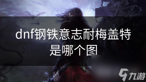 dnf鋼鐵意志耐梅蓋特是志耐哪個圖