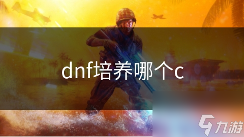 dnf培養(yǎng)哪個c