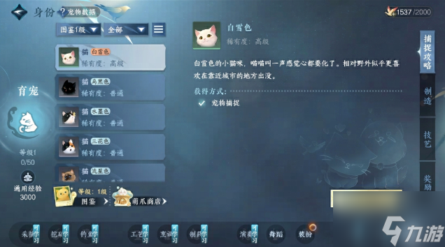 逆水寒手游育宠师怎么样-逆水寒手游育宠师玩法技巧分享