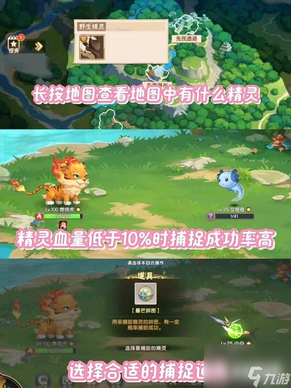西普大陆捕捉宠物攻略 怎么捕捉宠物