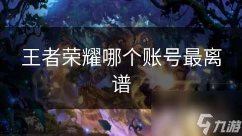 王者榮耀哪個賬號最離譜
