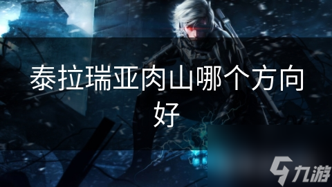 泰拉瑞亚肉山哪个方向好