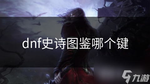 dnf史诗图鉴哪个键