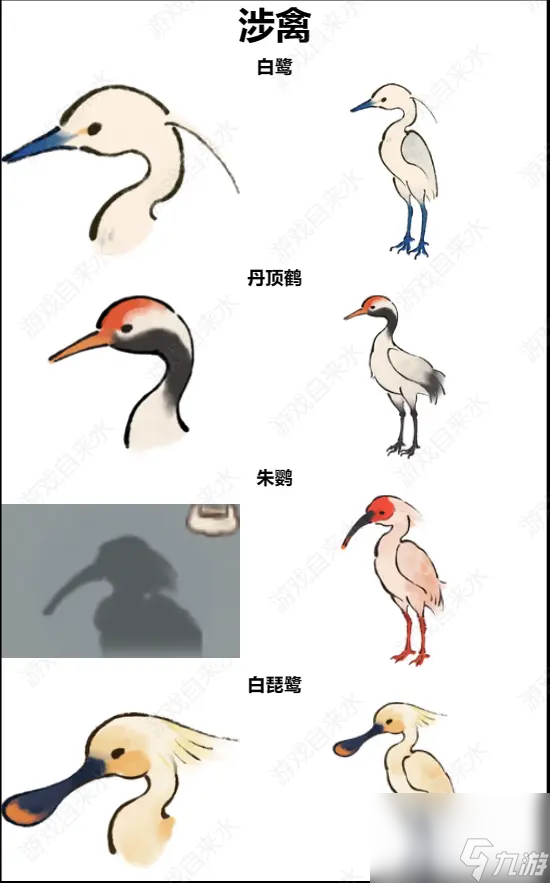 桃源深處有人家鳥類辨認有那些方法 桃源深處有人家鳥類辨認技巧圖解