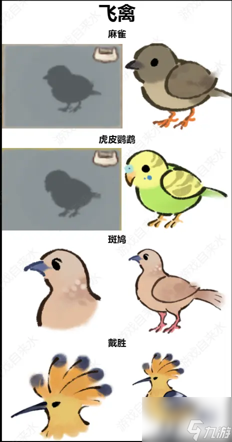 桃源深處有人家鳥類辨認有那些方法 桃源深處有人家鳥類辨認技巧圖解