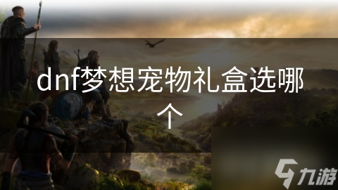 dnf梦想宠物礼盒选哪个