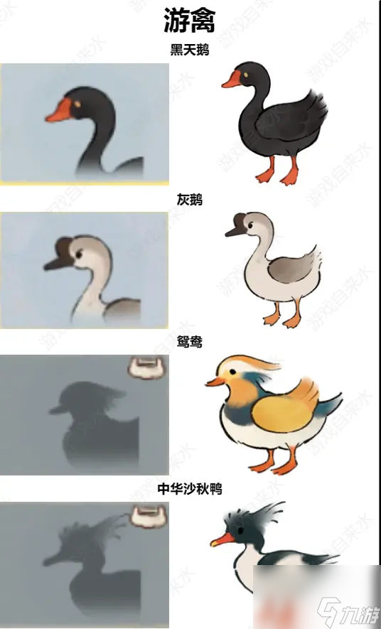 桃源深處有人家鳥類辨認(rèn)有那些方法 桃源深處有人家鳥類辨認(rèn)技巧圖解