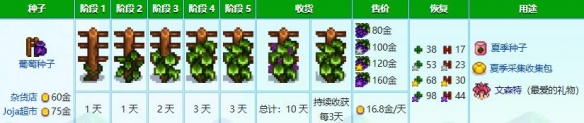 星露谷物语秋天种什么植物最好