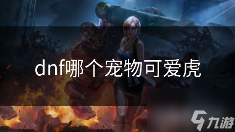 dnf哪个宠物可爱虎