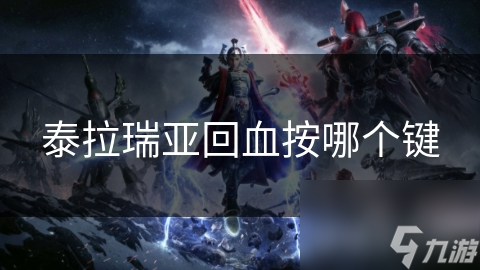泰拉瑞亚回血按哪个键