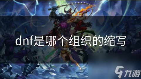 dnf是組織哪個(gè)組織的縮寫