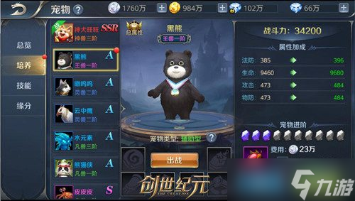 《命運(yùn)方舟》傳說寵物技能選擇推薦：提升戰(zhàn)斗力的最佳搭配