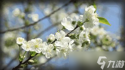 《战神：诸神黄昏》花朵收集攻略：全地图花朵位置与获取技巧揭秘