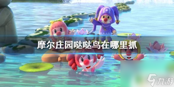 摩尔庄园手游咕咕鸟 摩尔庄园手游哒哒鸟在哪里抓截图