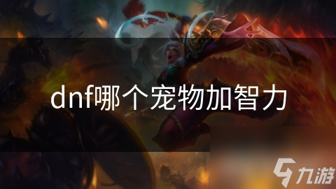 dnf哪个宠物加智力