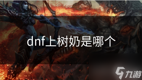 dnf上树奶是哪个