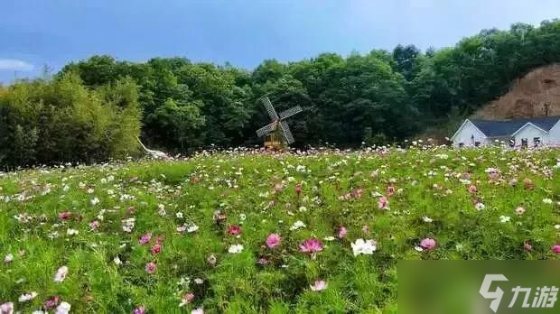 《花田小院》庭院搭配推薦 打造夢(mèng)幻花園的秘訣