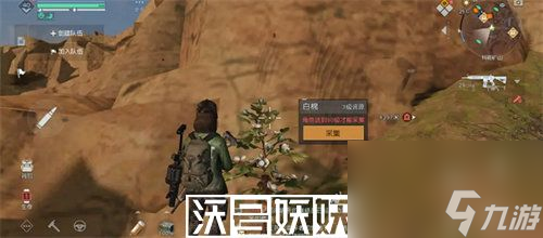 黎明觉醒白棉籽在哪-黎明觉醒白棉籽在哪位置介绍