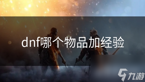 dnf哪个物品加经验