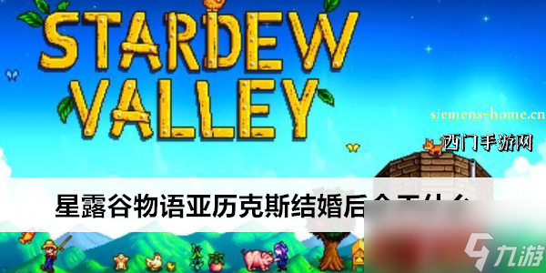 星露谷物语亚历克斯结婚后会干什么