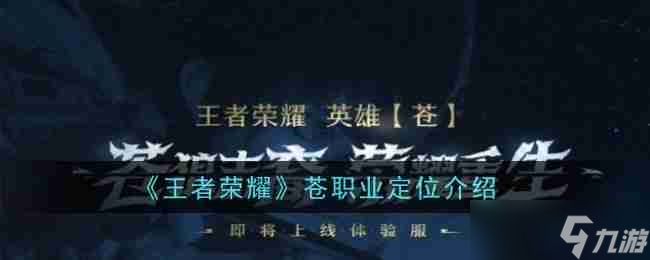 《王者荣耀》苍职业定位介绍