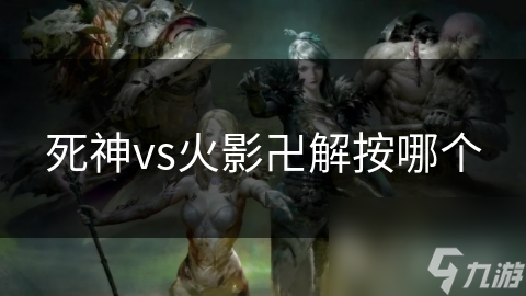 死神vs火影卍解按哪个