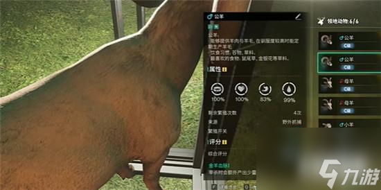 七日世界金羊毛怎么获得 金羊毛有什么用