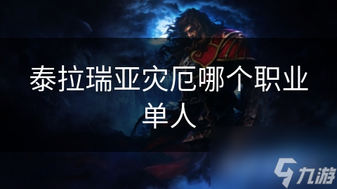 泰拉瑞亚灾厄哪个职业单人