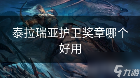 泰拉瑞亚护卫奖章哪个好用
