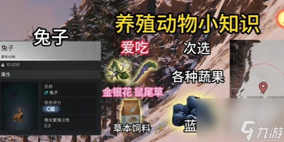 七日世界養(yǎng)殖動(dòng)物推薦