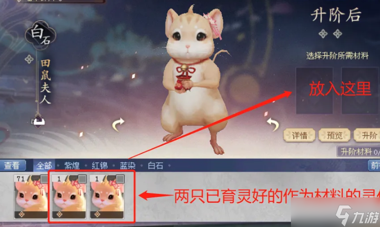 《倩女幽魂》灵伴升阶方法