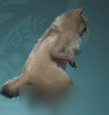 怪物猎人：荒野浣熊艾露猫捏脸数据分享
