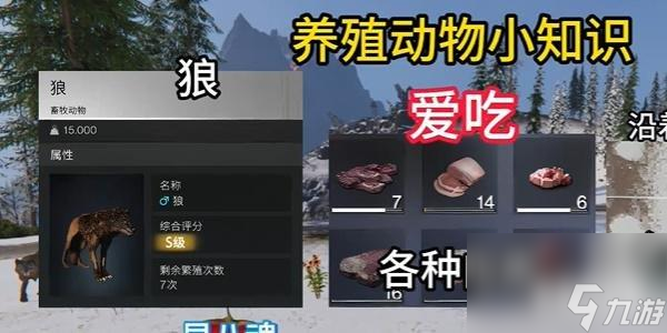 七日世界养殖什么动物最好 养殖动物推荐一览