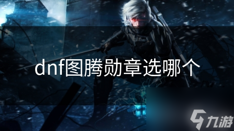 dnf图腾勋章选哪个