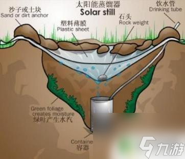 荒岛求生怎么获取淡水 流落荒岛生存手册