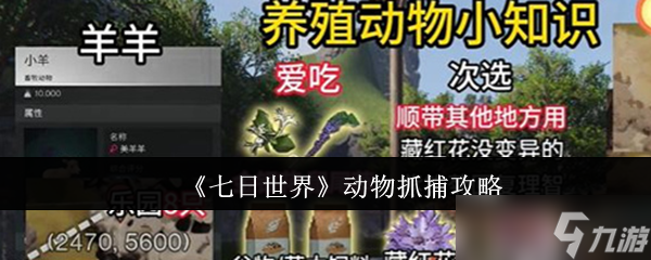 《七日世界》动物抓捕攻略