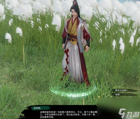 剑网3风花雪宠物奇遇攻略
