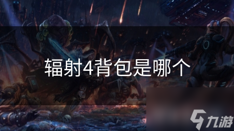 辐射4背包是哪个