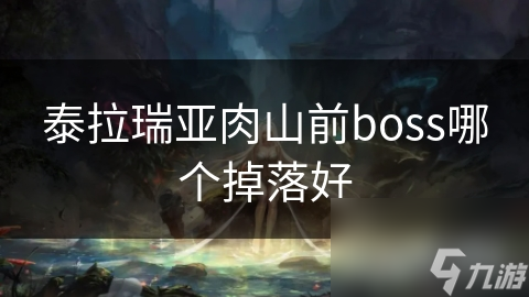 泰拉瑞亚肉山前boss哪个掉落好