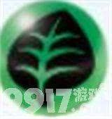 《宝可梦大集结》战斗会触发哪些状态 战斗触发状态汇总