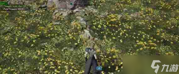 最终幻想7重生山丘上绽放的花刷新地点