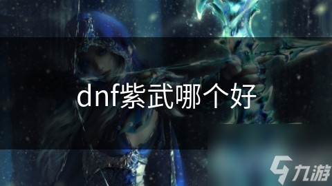 dnf紫武哪个好