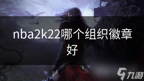 nba2k22哪个组织徽章好