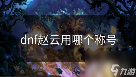 dnf赵云用哪个称号