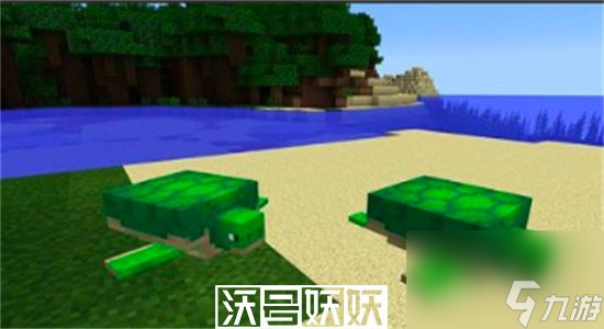 我的世界海龟蛋怎么孵化-我的世界海龟蛋孵化方法介绍