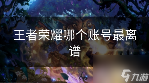 王者榮耀哪個(gè)賬號(hào)最離譜