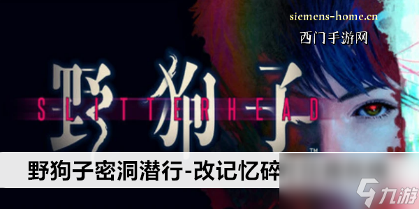 野狗子密洞潜行-改记忆碎片位置在哪