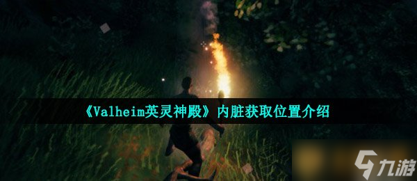 《Valheim英灵神殿》内脏获取在哪里介绍