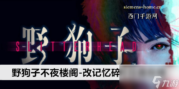野狗子不夜楼阁-改记忆碎片位置在哪