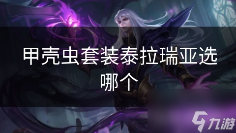 甲壳虫套装泰拉瑞亚选哪个